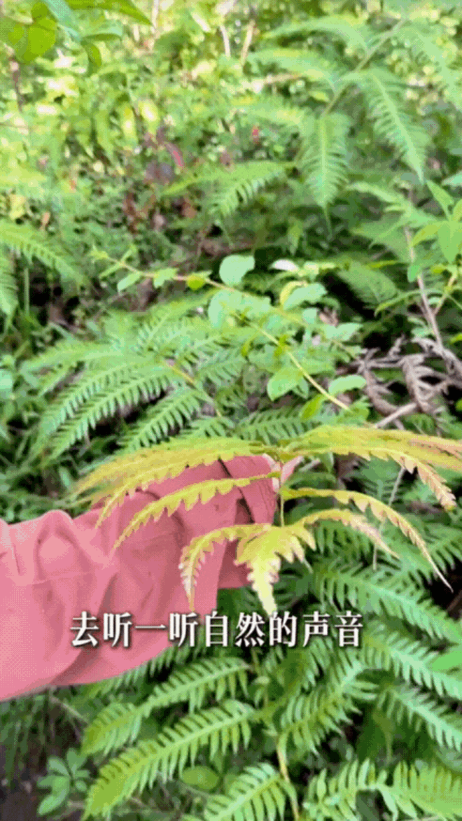 Diễn viên Tăng Lê chia sẻ cuộc sống trung niên tuổi 49: Công thức 5 bước đơn giản để luôn có "gia vị tích cực"- Ảnh 18.