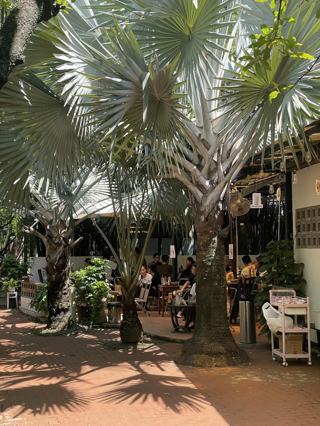 1.000 người chen chúc trong "rừng" chỉ để ăn xôi tại khu nhà giàu TP.HCM- Ảnh 2.