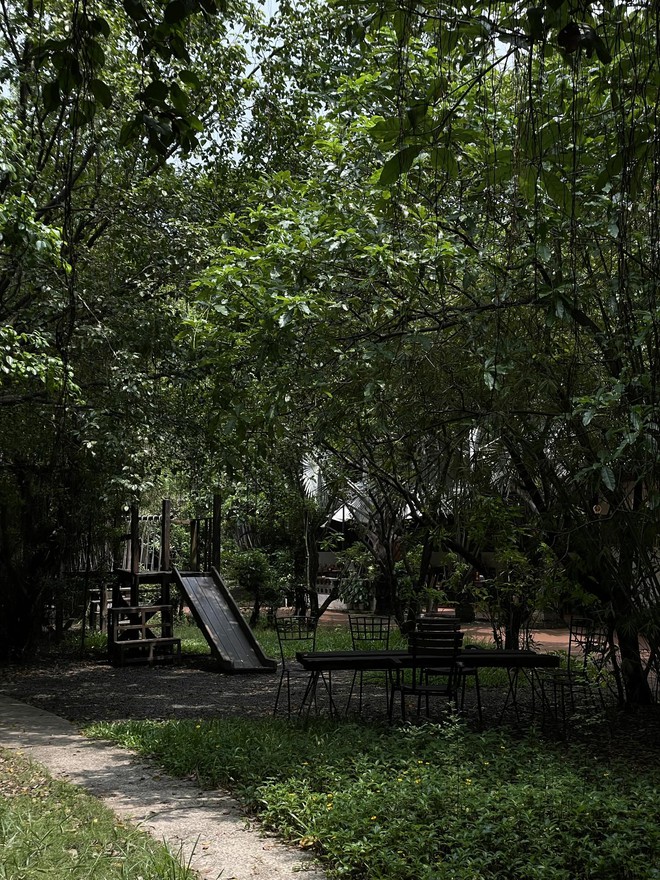 1.000 người chen chúc trong "rừng" chỉ để ăn xôi tại khu nhà giàu TP.HCM- Ảnh 3.