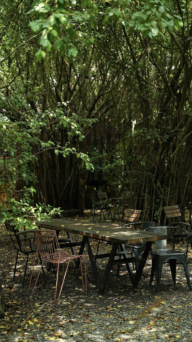 1.000 người chen chúc trong "rừng" chỉ để ăn xôi tại khu nhà giàu TP.HCM- Ảnh 10.