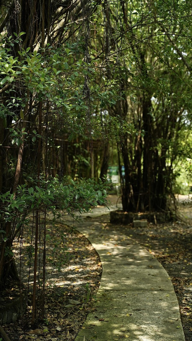 1.000 người chen chúc trong "rừng" chỉ để ăn xôi tại khu nhà giàu TP.HCM- Ảnh 11.