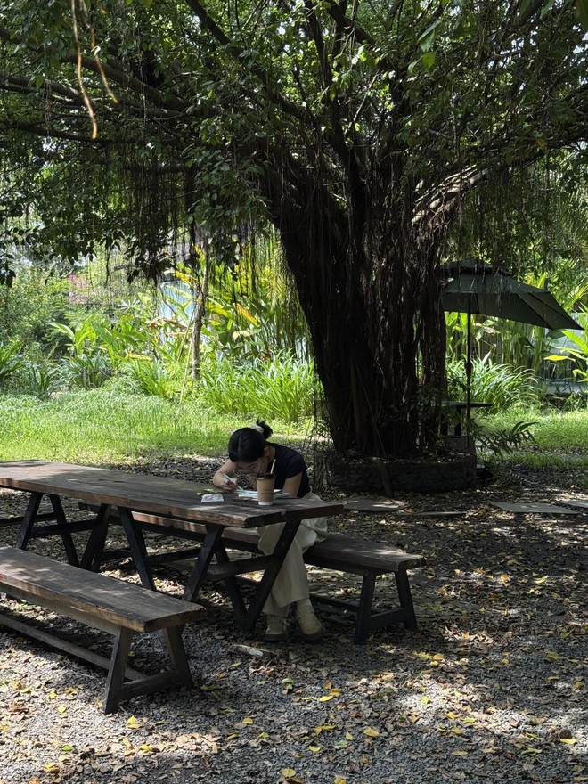 1.000 người chen chúc trong "rừng" chỉ để ăn xôi tại khu nhà giàu TP.HCM- Ảnh 12.