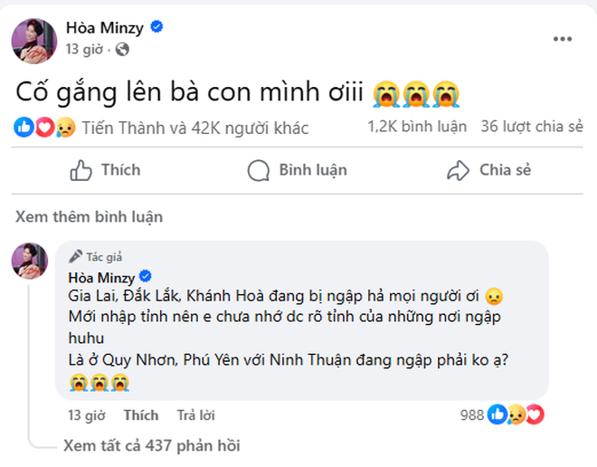 Trấn Thành - Hương Giang cùng dàn sao Việt đồng lòng hướng về người dân vùng lũ- Ảnh 10. Trấn Thành - Hương Giang cùng dàn sao Việt đồng lòng hướng về người dân vùng lũ- Ảnh 10.