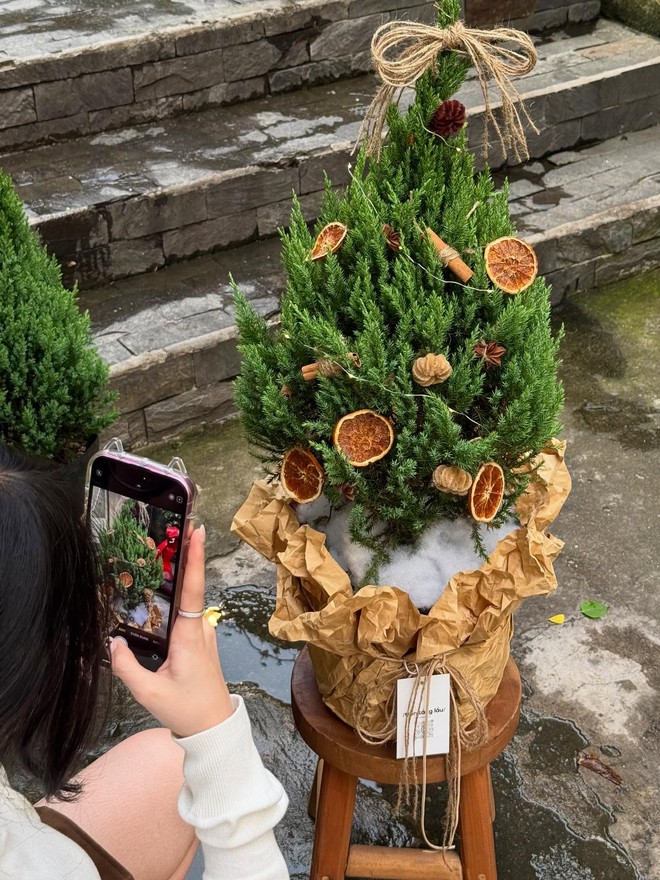 Sơn tùng giá rẻ bèo, được săn đón nhất dịp Giáng sinh- Ảnh 8.