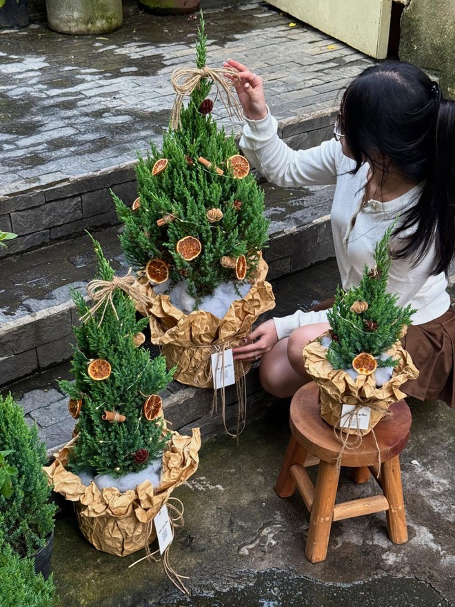 Sơn tùng giá rẻ bèo, được săn đón nhất dịp Giáng sinh- Ảnh 9.