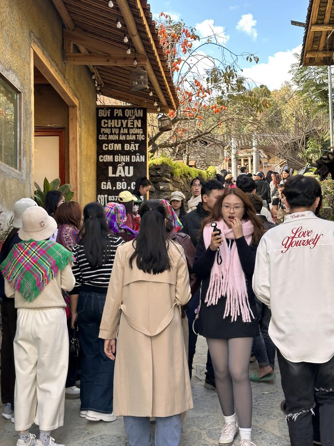 Cây hồng "khổ nhất" Việt Nam: Cả nghìn người kéo tới check-in mỗi ngày- Ảnh 3. Cây hồng "khổ nhất" Việt Nam: Cả nghìn người kéo tới check-in mỗi ngày- Ảnh 3.