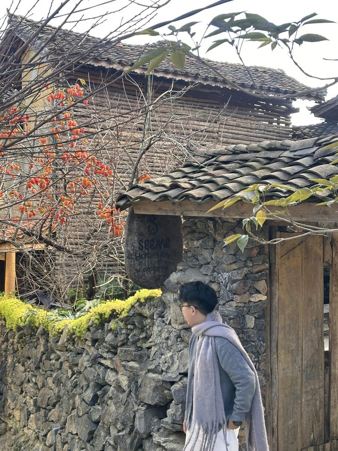 Cây hồng "khổ nhất" Việt Nam: Cả nghìn người kéo tới check-in mỗi ngày- Ảnh 7. Cây hồng "khổ nhất" Việt Nam: Cả nghìn người kéo tới check-in mỗi ngày- Ảnh 7.