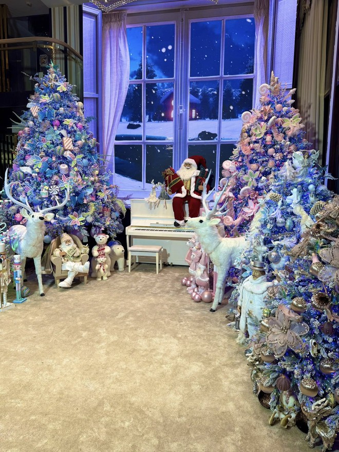 Quyết định cuối cùng của Đàm Vĩnh Hưng- Ảnh 10.