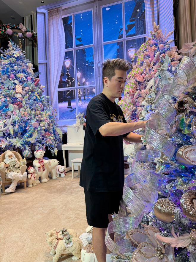 Quyết định cuối cùng của Đàm Vĩnh Hưng- Ảnh 6.