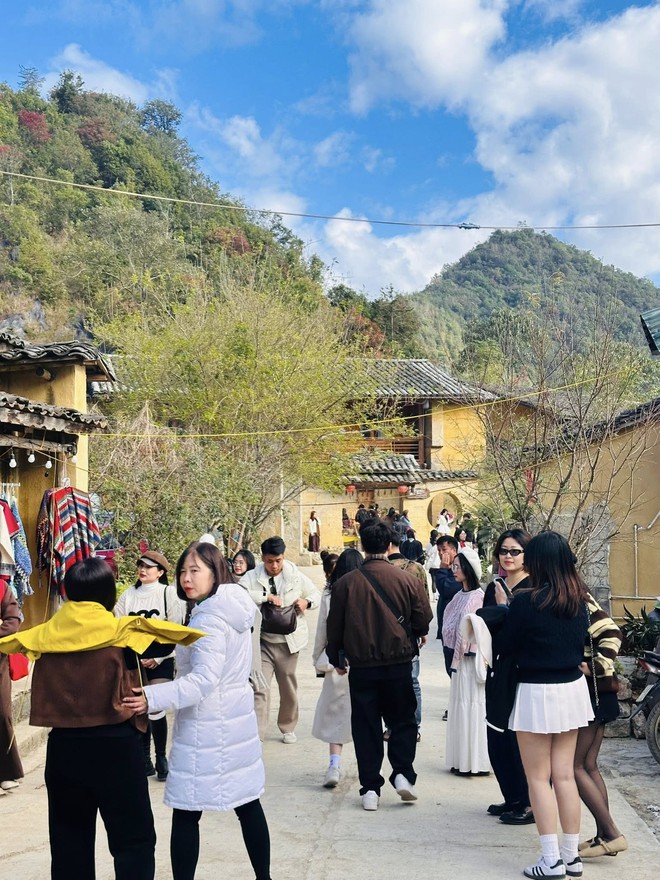 Cây hồng "khổ nhất" Việt Nam: Cả nghìn người kéo tới check-in mỗi ngày- Ảnh 8. Cây hồng "khổ nhất" Việt Nam: Cả nghìn người kéo tới check-in mỗi ngày- Ảnh 8.