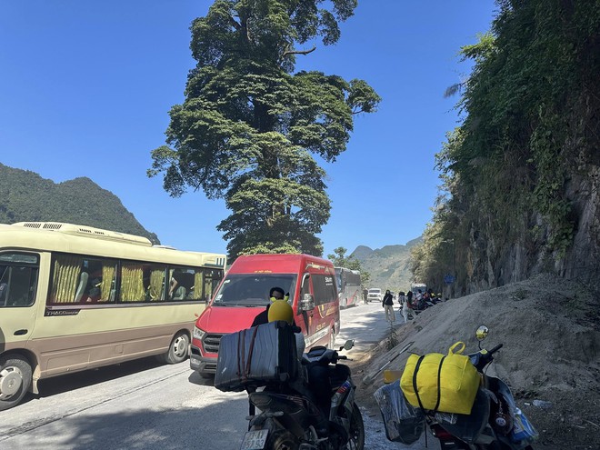 Tuyên Quang đông như Tết, khách lên Lô Lô Chải "khóc thét" vì xếp hàng cả tiếng mới có chỗ ngồi- Ảnh 8.