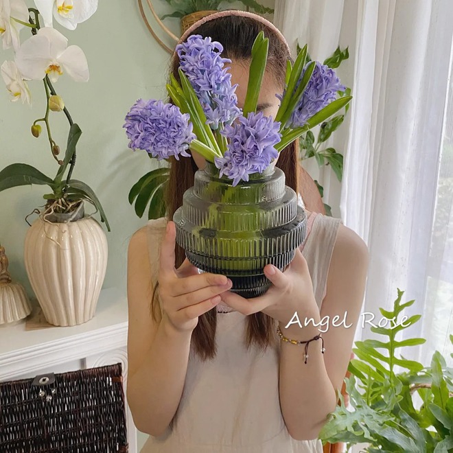 Nhiều chị em đang kháo nhau: Tết này nhất định phải trồng một chậu “hoa của các vị thần”, vừa thơm nhà vừa sang chảnh- Ảnh 2.