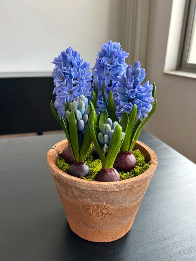 Nhiều chị em đang kháo nhau: Tết này nhất định phải trồng một chậu “hoa của các vị thần”, vừa thơm nhà vừa sang chảnh- Ảnh 9.