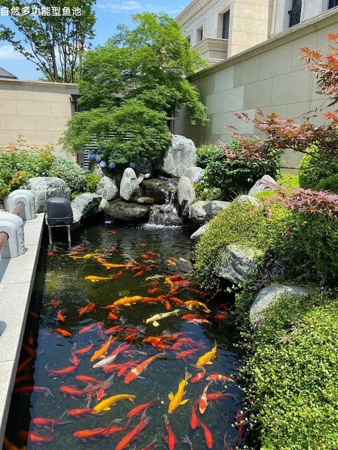 Trước nhà có ao phong thủy tốt hay xấu? Đọc xong bớt lo lấp ao vội- Ảnh 8. Trước nhà có ao phong thủy tốt hay xấu? Đọc xong bớt lo lấp ao vội- Ảnh 8.