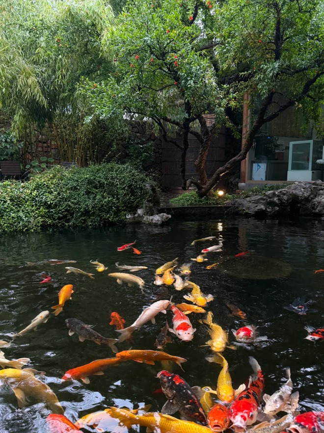 Trước nhà có ao phong thủy tốt hay xấu? Đọc xong bớt lo lấp ao vội- Ảnh 3. Trước nhà có ao phong thủy tốt hay xấu? Đọc xong bớt lo lấp ao vội- Ảnh 3.