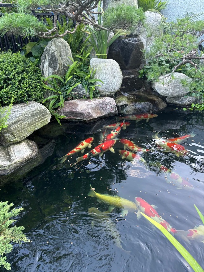 Trước nhà có ao phong thủy tốt hay xấu? Đọc xong bớt lo lấp ao vội- Ảnh 4. Trước nhà có ao phong thủy tốt hay xấu? Đọc xong bớt lo lấp ao vội- Ảnh 4.