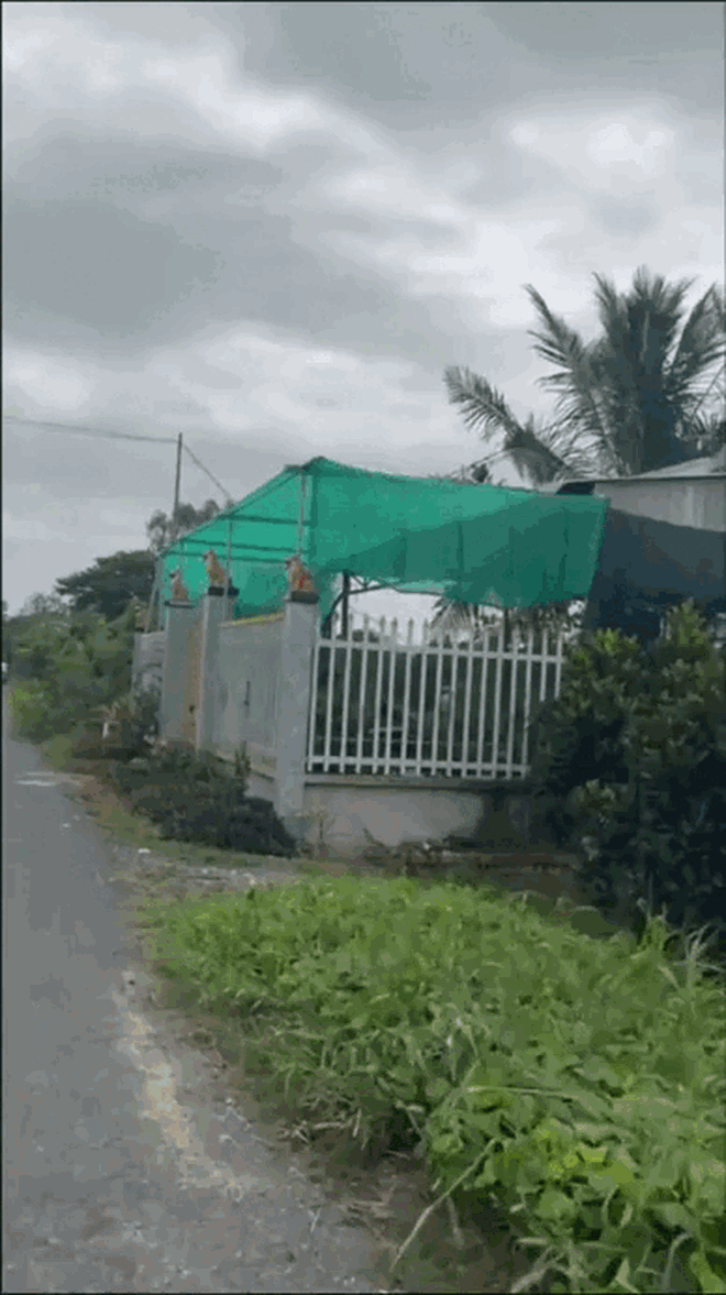 "Đặc sản" trước cửa nhà người miền Tây, cả nước ít người hiểu- Ảnh 2.