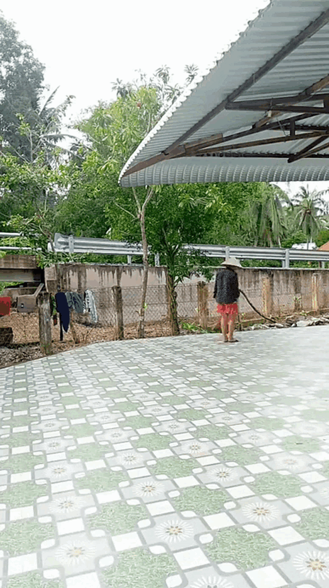 Xem người miền Tây quét sân, cả nước "tiền đình, hoa mắt"- Ảnh 2.