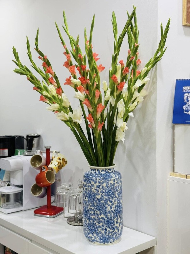 NSND Công Lý đang ở nhà thuê- Ảnh 15. NSND Công Lý đang ở nhà thuê- Ảnh 15.