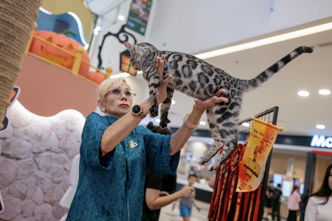 Lộ diện nhan sắc và thân thế của Hoa hậu mèo quốc tế Việt Nam 2025- Ảnh 6.