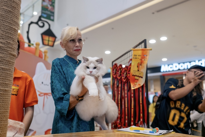 Lộ diện nhan sắc và thân thế của Hoa hậu mèo quốc tế Việt Nam 2025- Ảnh 7.