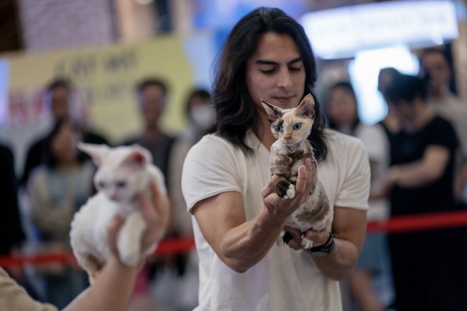 Lộ diện nhan sắc và thân thế của Hoa hậu mèo quốc tế Việt Nam 2025- Ảnh 11.