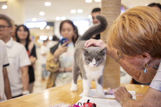 Lộ diện nhan sắc và thân thế của Hoa hậu mèo quốc tế Việt Nam 2025- Ảnh 9.