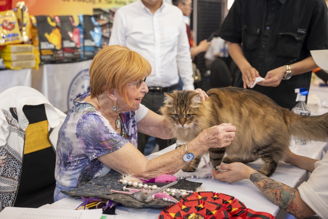 Lộ diện nhan sắc và thân thế của Hoa hậu mèo quốc tế Việt Nam 2025- Ảnh 4.