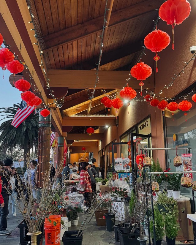 Quán cà phê của ca sĩ Đan Trường sao lạ thế!- Ảnh 4. Quán cà phê của ca sĩ Đan Trường sao lạ thế!- Ảnh 4.