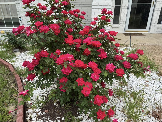 Toàn cảnh bất động sản của "anh Bo" Đan Trường trải dài từ Việt Nam đến Mỹ- Ảnh 11.