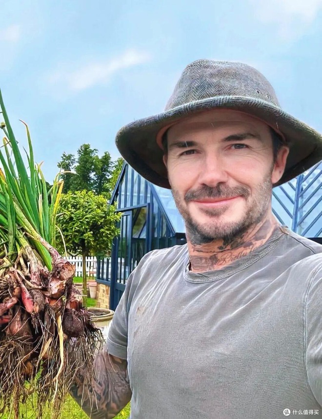 Cảnh tượng khó tin: David Beckham "bỏ phố về quê", trồng rau nuôi gà như nông dân- Ảnh 11.