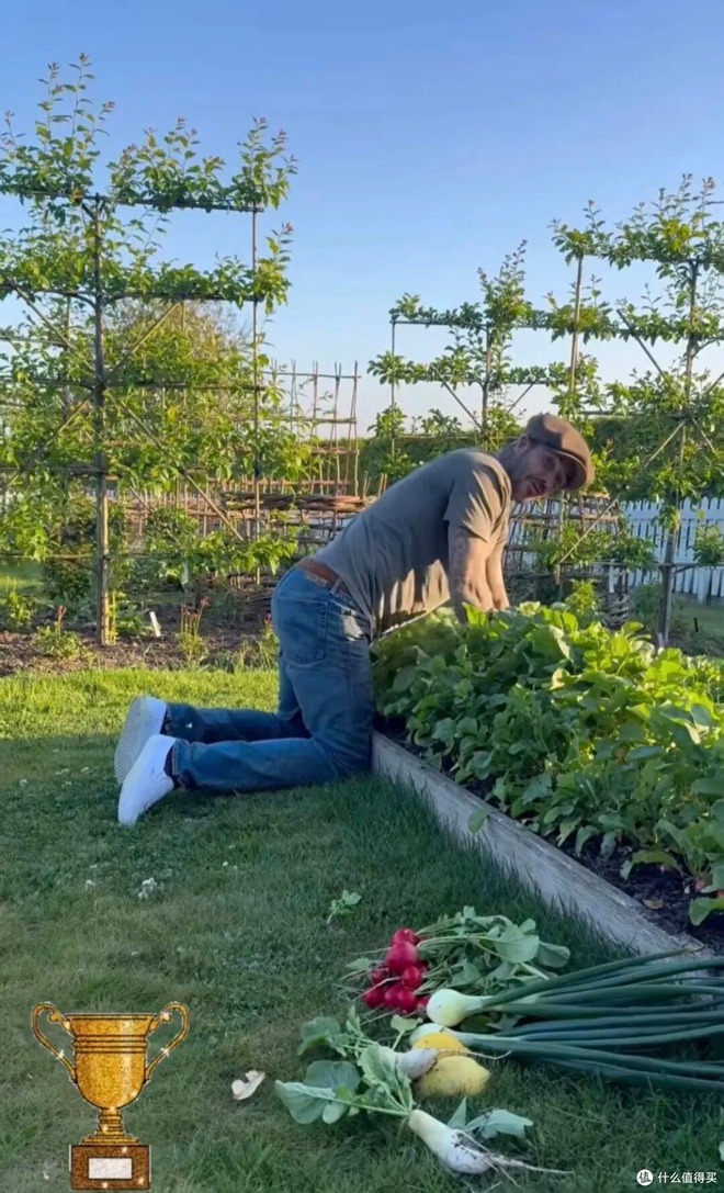 Cảnh tượng khó tin: David Beckham "bỏ phố về quê", trồng rau nuôi gà như nông dân- Ảnh 8.