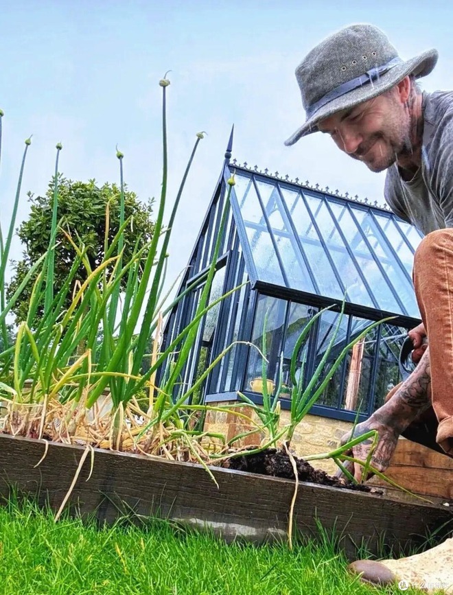 Cảnh tượng khó tin: David Beckham "bỏ phố về quê", trồng rau nuôi gà như nông dân- Ảnh 10.