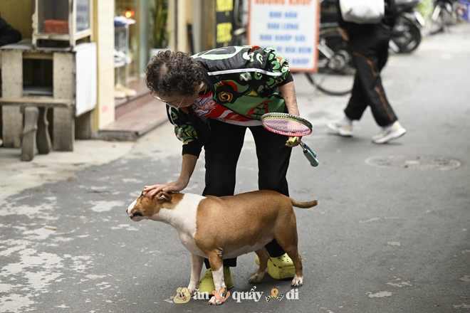 Cận cảnh chú chó “thần tài” nổi tiếng nhất Hà Nội hiện nay: Tiếp khách mệt nghỉ, giúp quán tăng doanh thu cao ngất- Ảnh 5.