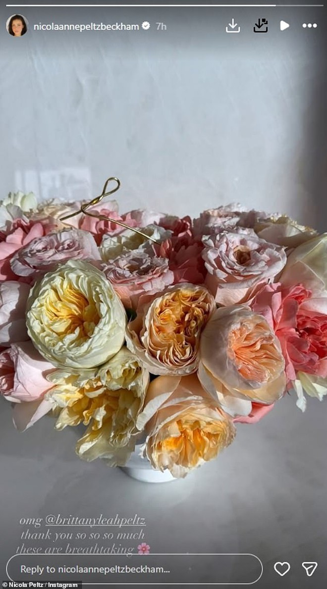 Cả thế giới chúc mừng David Beckham được phong tước Hiệp sĩ, nhưng con dâu cả thì... không- Ảnh 2.