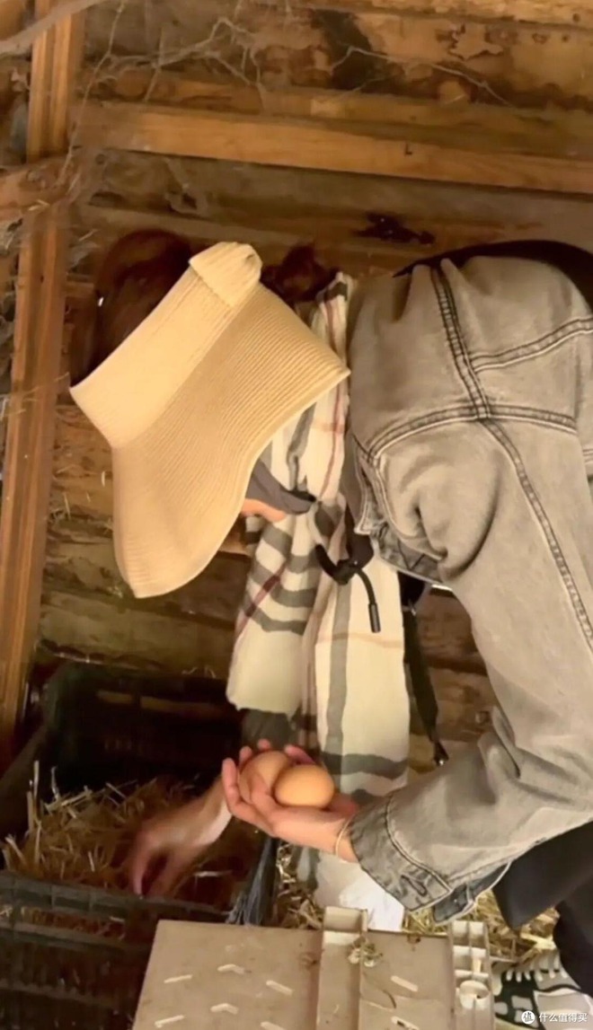 "Nữ thần châu Á" Trương Mạn Ngọc: Tuổi 61 cô độc, nuôi gà, cuốc đất qua ngày- Ảnh 6.