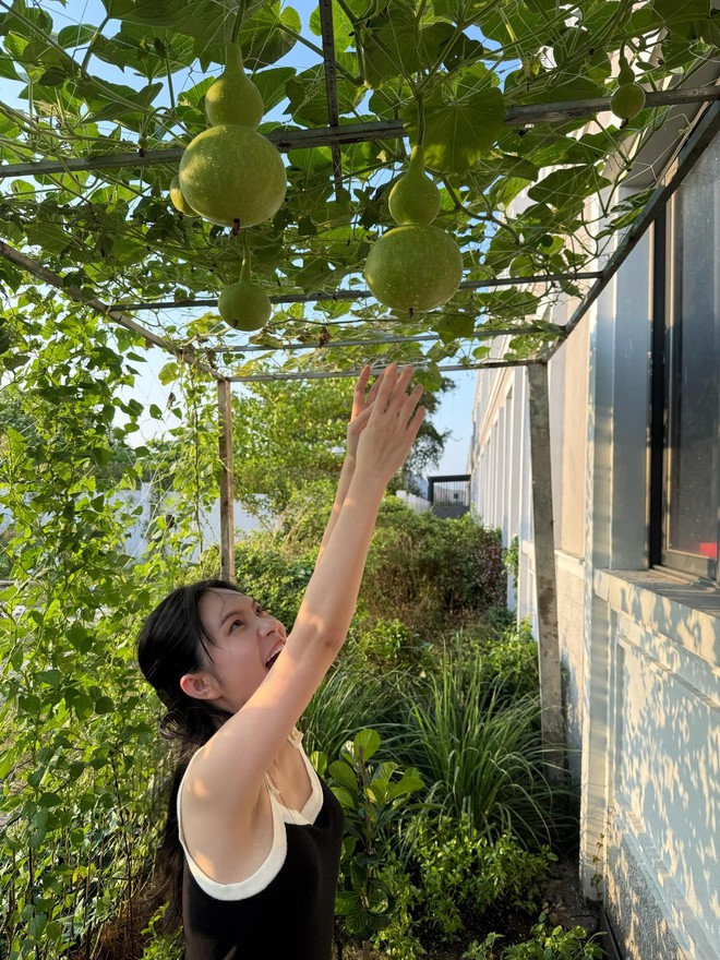 Bay màu danh xưng “nữ đại gia quận 7” của Đoàn Di Băng- Ảnh 8. Bay màu danh xưng “nữ đại gia quận 7” của Đoàn Di Băng- Ảnh 8.