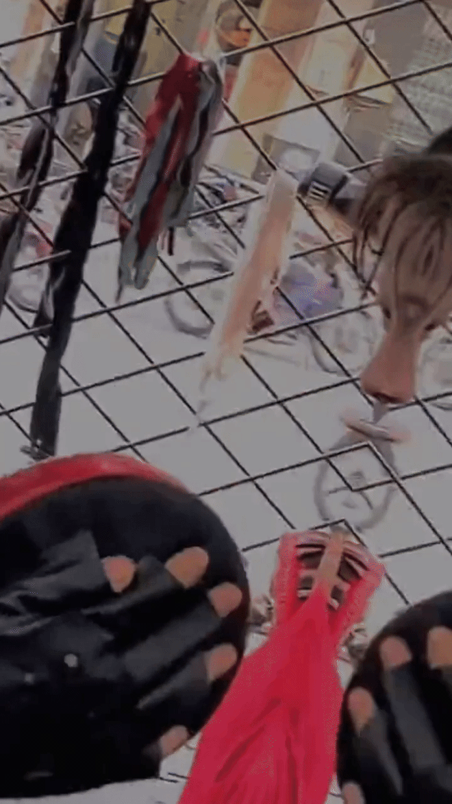 Hot girl thể thao sơ hở là đánh đấm, 20 năm càng bầm dập càng trẻ đẹp- Ảnh 7. Hot girl thể thao sơ hở là đánh đấm, 20 năm càng bầm dập càng trẻ đẹp- Ảnh 7.