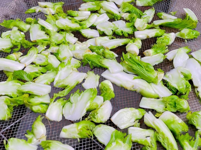 Loại rau "vua giải nhiệt" mùa đông: Mua về phơi khô, Tết lôi ra xào tóp mỡ thì thịt cá cũng "ra rìa"- Ảnh 3. Loại rau "vua giải nhiệt" mùa đông: Mua về phơi khô, Tết lôi ra xào tóp mỡ thì thịt cá cũng "ra rìa"- Ảnh 3.