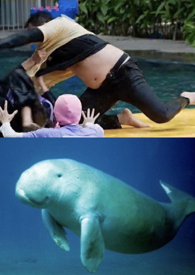 Đây chính là nhân vật có màn tái xuất show thực tế "vuýp" nhất năm 2025!- Ảnh 6.