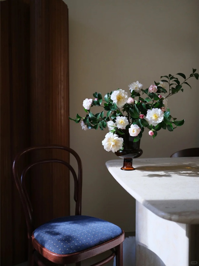 Tết 2026 chơi gì cho "độc"? Thử ngay chậu trà Hương Phi vừa có sắc, vừa có hương, lại mang phú quý vào nhà- Ảnh 9.