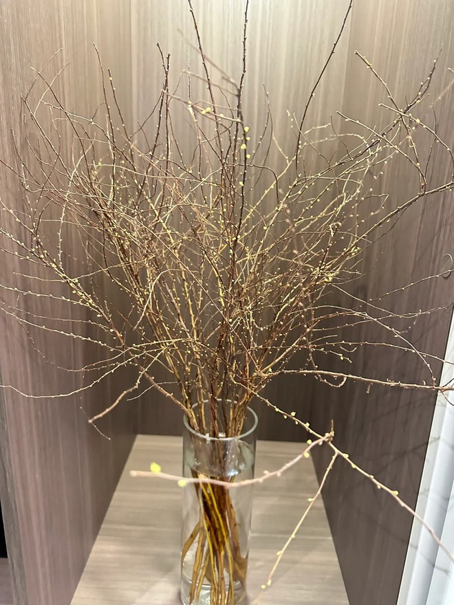 Thú chơi hoa "củi khô nở ra tuyết trắng": Giá bình dân nhưng khí chất sang chảnh, cắm một bình chơi cả tháng Giêng- Ảnh 30. Thú chơi hoa "củi khô nở ra tuyết trắng": Giá bình dân nhưng khí chất sang chảnh, cắm một bình chơi cả tháng Giêng- Ảnh 30.