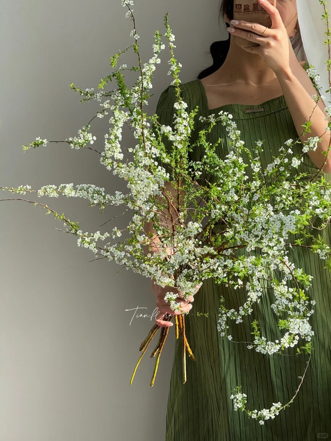 Thú chơi hoa "củi khô nở ra tuyết trắng": Giá bình dân nhưng khí chất sang chảnh, cắm một bình chơi cả tháng Giêng- Ảnh 6. Thú chơi hoa "củi khô nở ra tuyết trắng": Giá bình dân nhưng khí chất sang chảnh, cắm một bình chơi cả tháng Giêng- Ảnh 6.