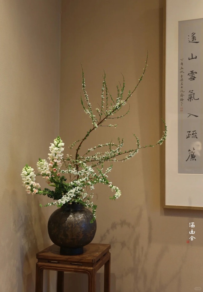 Thú chơi hoa "củi khô nở ra tuyết trắng": Giá bình dân nhưng khí chất sang chảnh, cắm một bình chơi cả tháng Giêng- Ảnh 13. Thú chơi hoa "củi khô nở ra tuyết trắng": Giá bình dân nhưng khí chất sang chảnh, cắm một bình chơi cả tháng Giêng- Ảnh 13.