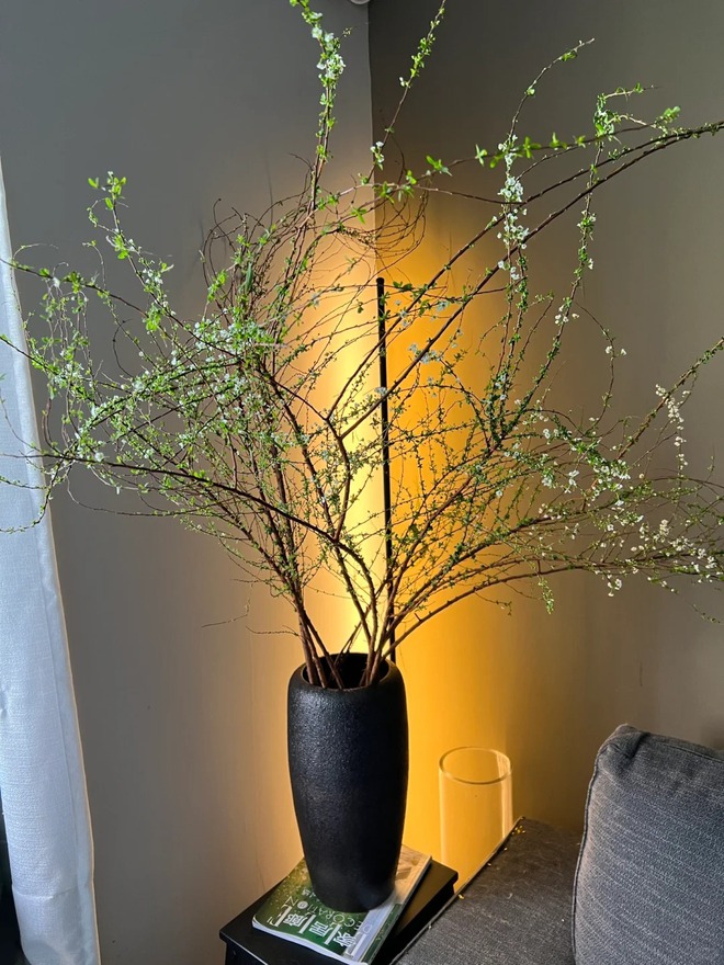 Thú chơi hoa "củi khô nở ra tuyết trắng": Giá bình dân nhưng khí chất sang chảnh, cắm một bình chơi cả tháng Giêng- Ảnh 32. Thú chơi hoa "củi khô nở ra tuyết trắng": Giá bình dân nhưng khí chất sang chảnh, cắm một bình chơi cả tháng Giêng- Ảnh 32.