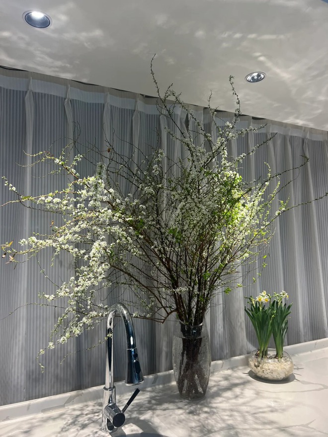 Thú chơi hoa "củi khô nở ra tuyết trắng": Giá bình dân nhưng khí chất sang chảnh, cắm một bình chơi cả tháng Giêng- Ảnh 14. Thú chơi hoa "củi khô nở ra tuyết trắng": Giá bình dân nhưng khí chất sang chảnh, cắm một bình chơi cả tháng Giêng- Ảnh 14.