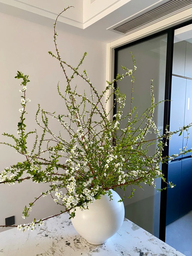 Thú chơi hoa "củi khô nở ra tuyết trắng": Giá bình dân nhưng khí chất sang chảnh, cắm một bình chơi cả tháng Giêng- Ảnh 19. Thú chơi hoa "củi khô nở ra tuyết trắng": Giá bình dân nhưng khí chất sang chảnh, cắm một bình chơi cả tháng Giêng- Ảnh 19.