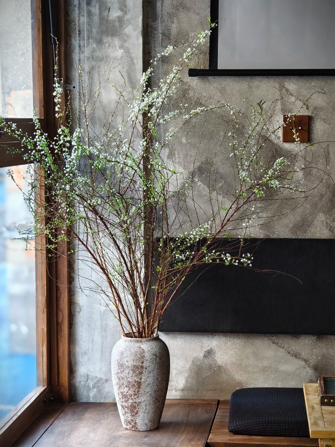 Thú chơi hoa "củi khô nở ra tuyết trắng": Giá bình dân nhưng khí chất sang chảnh, cắm một bình chơi cả tháng Giêng- Ảnh 22. Thú chơi hoa "củi khô nở ra tuyết trắng": Giá bình dân nhưng khí chất sang chảnh, cắm một bình chơi cả tháng Giêng- Ảnh 22.