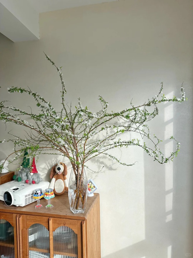 Thú chơi hoa "củi khô nở ra tuyết trắng": Giá bình dân nhưng khí chất sang chảnh, cắm một bình chơi cả tháng Giêng- Ảnh 33. Thú chơi hoa "củi khô nở ra tuyết trắng": Giá bình dân nhưng khí chất sang chảnh, cắm một bình chơi cả tháng Giêng- Ảnh 33.