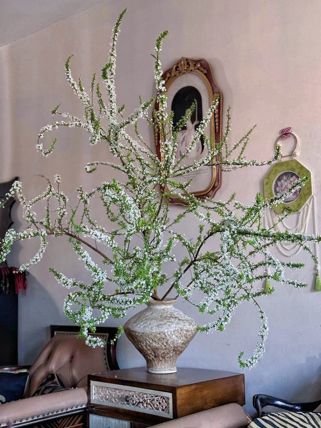 Thú chơi hoa "củi khô nở ra tuyết trắng": Giá bình dân nhưng khí chất sang chảnh, cắm một bình chơi cả tháng Giêng- Ảnh 35. Thú chơi hoa "củi khô nở ra tuyết trắng": Giá bình dân nhưng khí chất sang chảnh, cắm một bình chơi cả tháng Giêng- Ảnh 35.